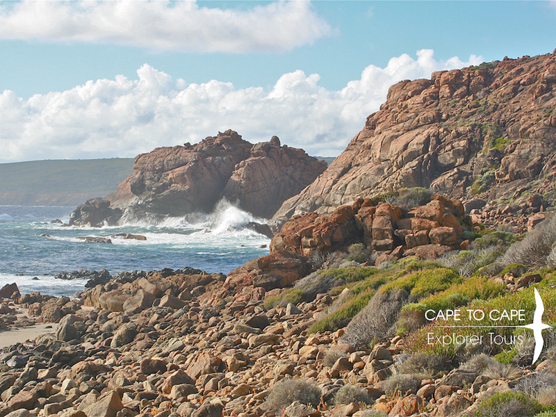 cape mentelle tours