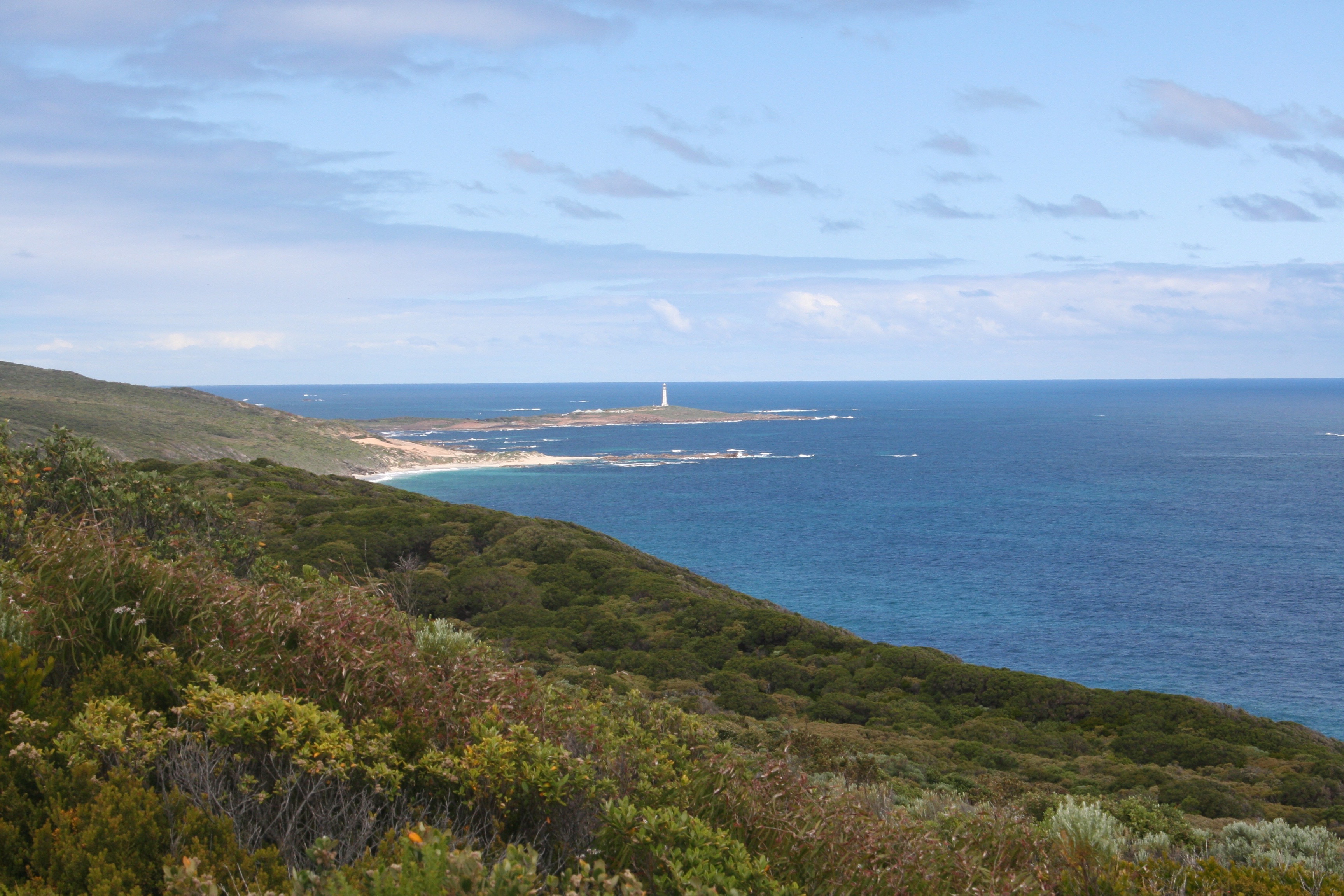 Cape to Cape Track with Jane McCredie