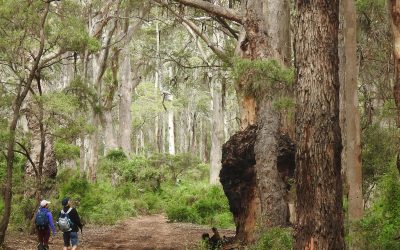 Snake Awareness Hiking in Perth - Off The Beaten Track WA