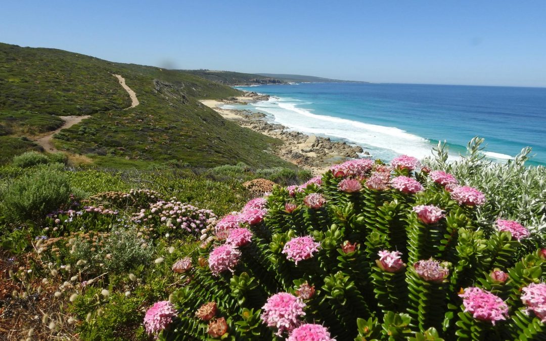 Autumn hiking in the Margaret River region