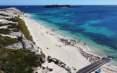 Bird’s eye view of Cape to Cape Track