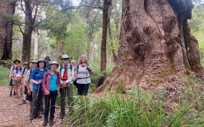 Bibbulmun hiking dates for 2023