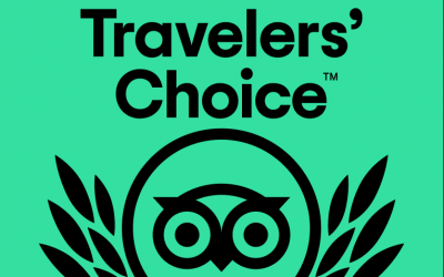 TripAdvisor win for Cape to Cape Explorer Tours!