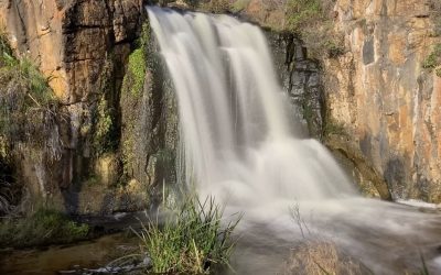 Margaret River’s must-do spring attractions