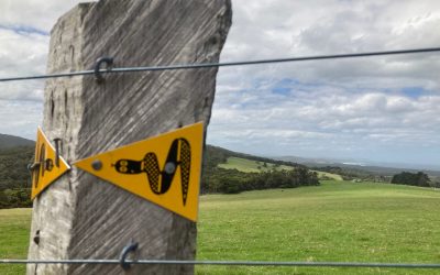 Hiking the Bibbulmun a hit with Darwinians