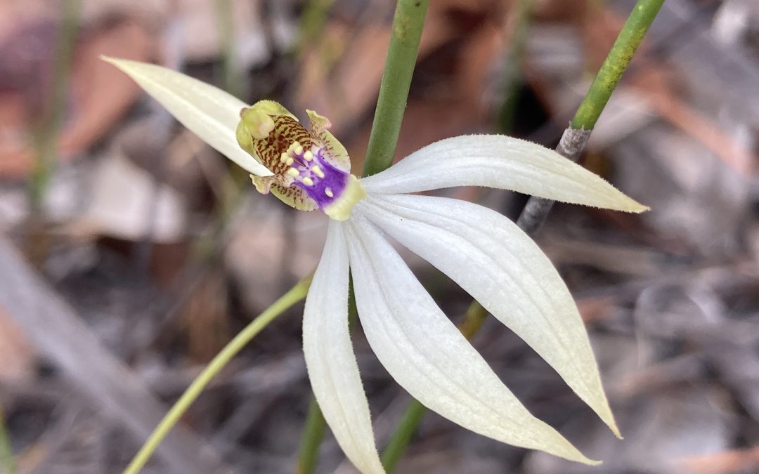 Nature in the Margaret River region