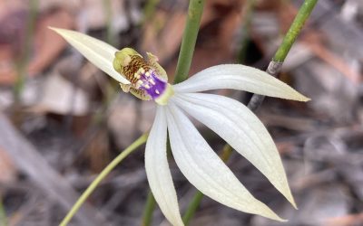 Nature in the Margaret River region