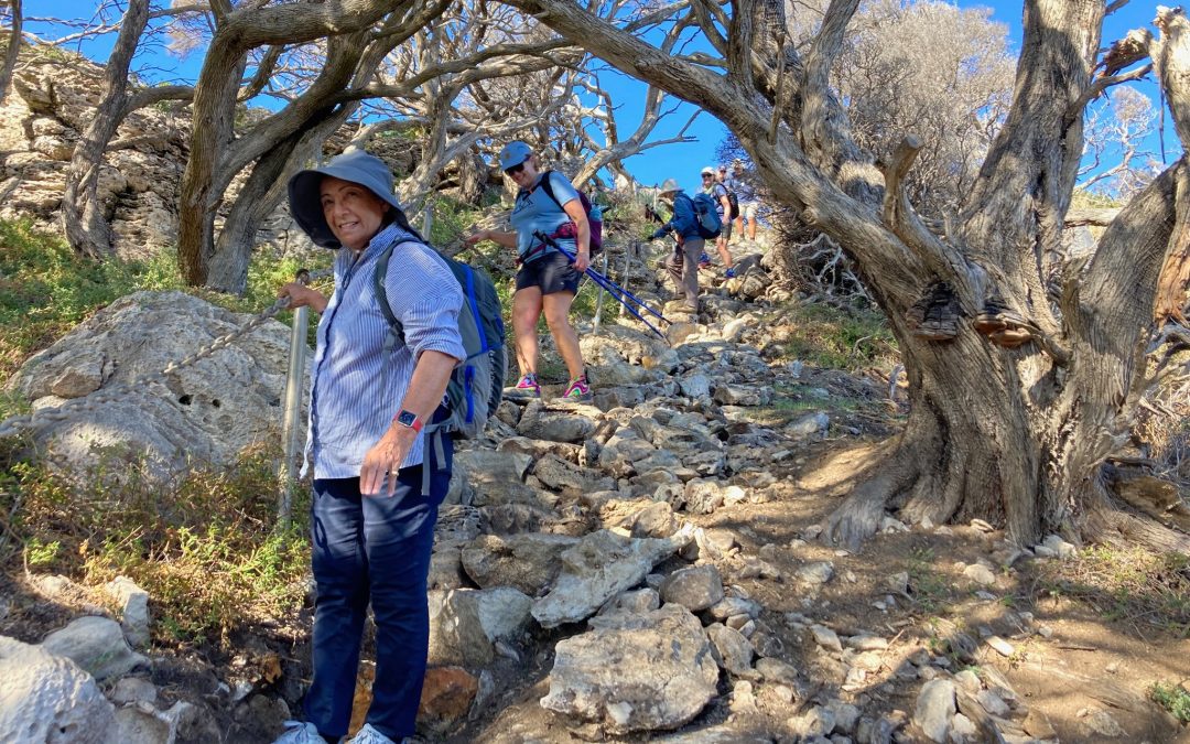 What hikers are saying about Cape to Cape Explorer Tours