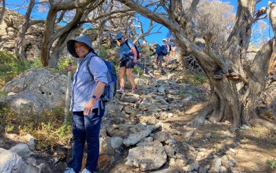 What hikers are saying about Cape to Cape Explorer Tours