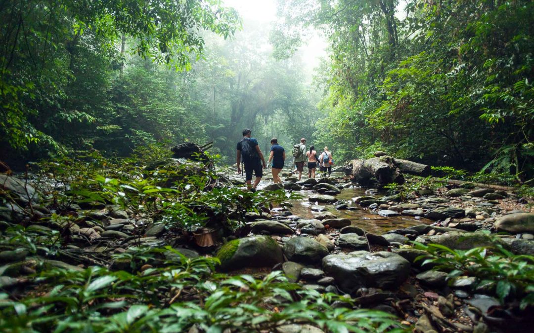 Borneo hiking adventure returns