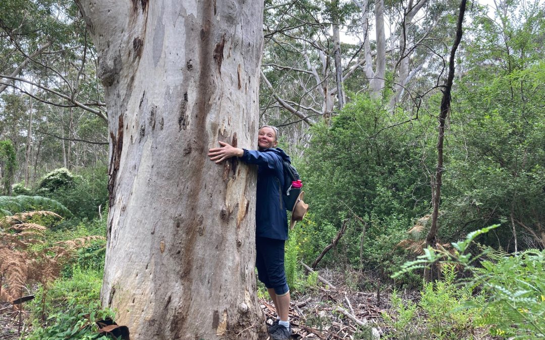 Why hiking in nature is good for you