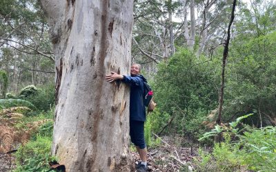 Why hiking in nature is good for you