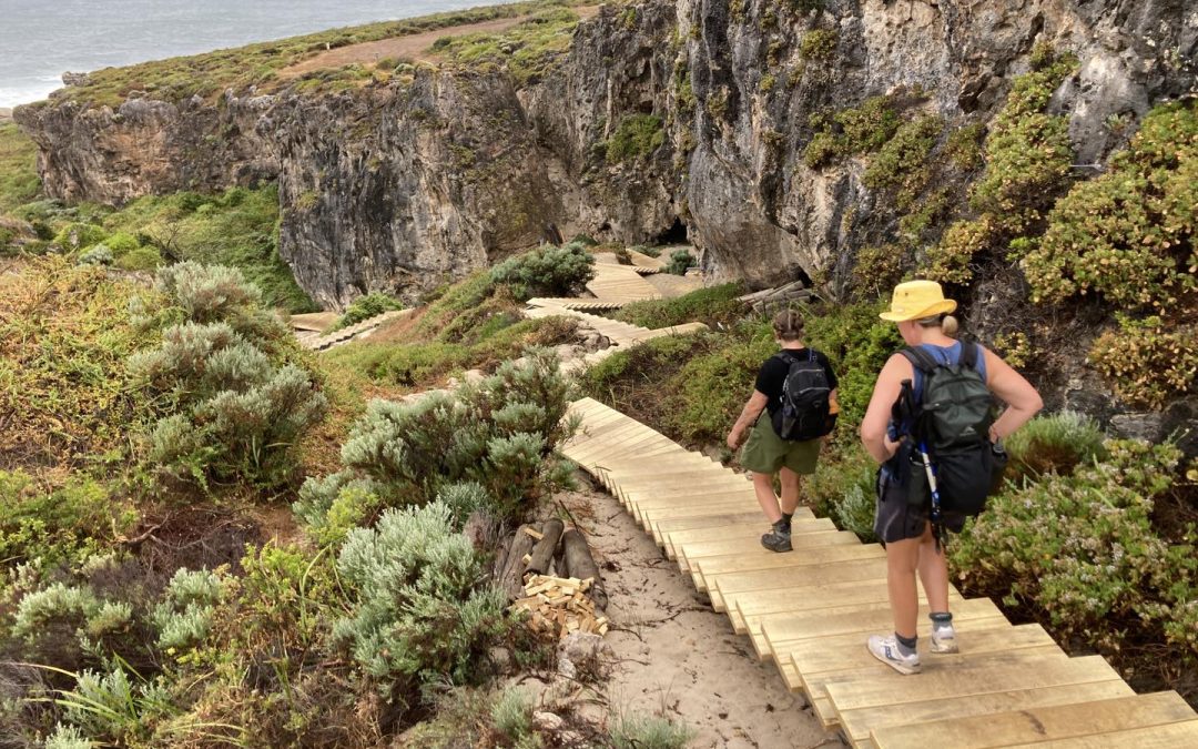 More Cape to Cape Track upgrades