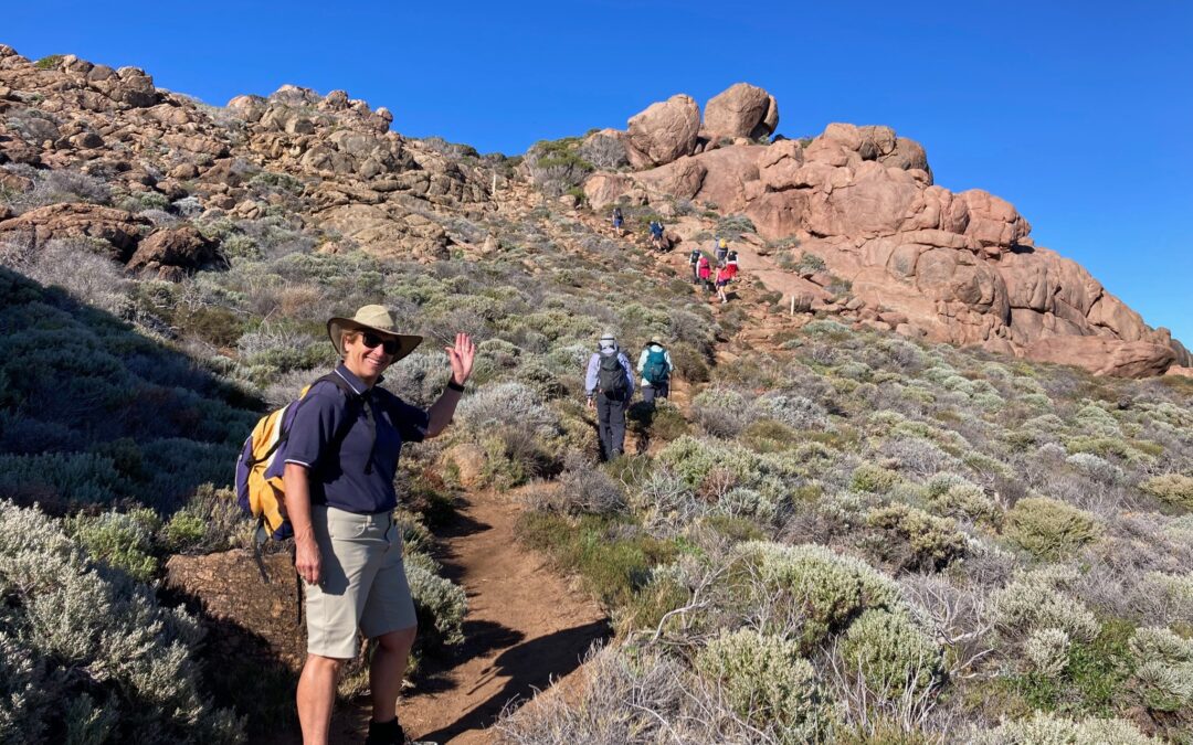 Self-guided Cape to Cape Track options