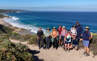 New guided highlights tour a winner!