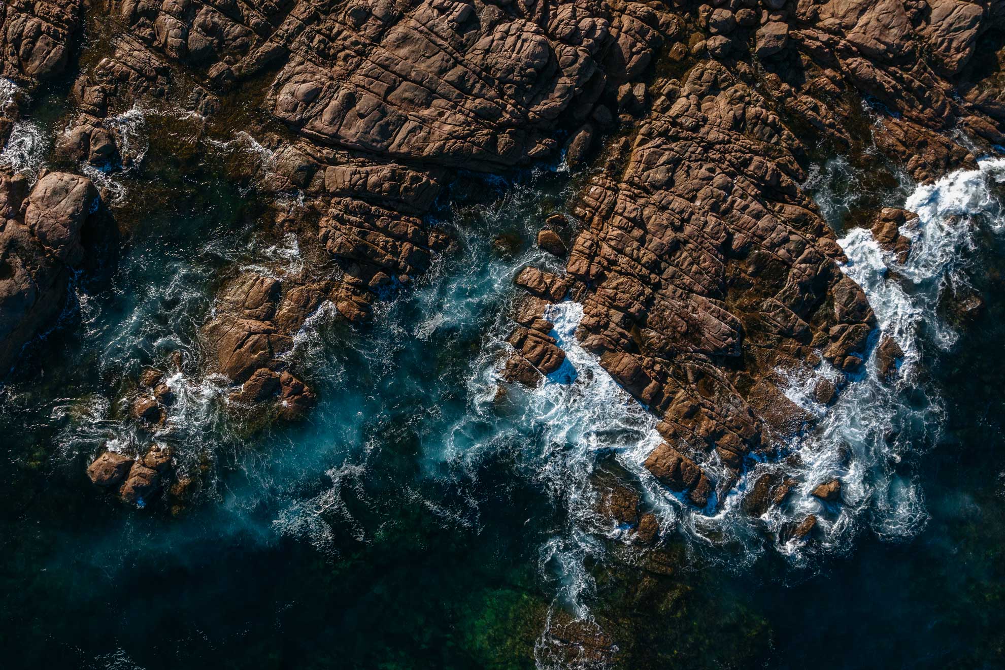 Margaret River's nature and wildlife