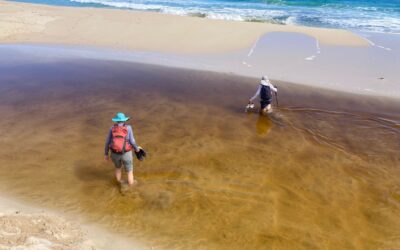 Seasons greetings from the Cape to Cape team