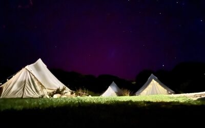 4-Day Margaret River escape