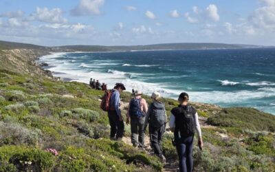 Cape to Cape Track: a hiker’s perspective