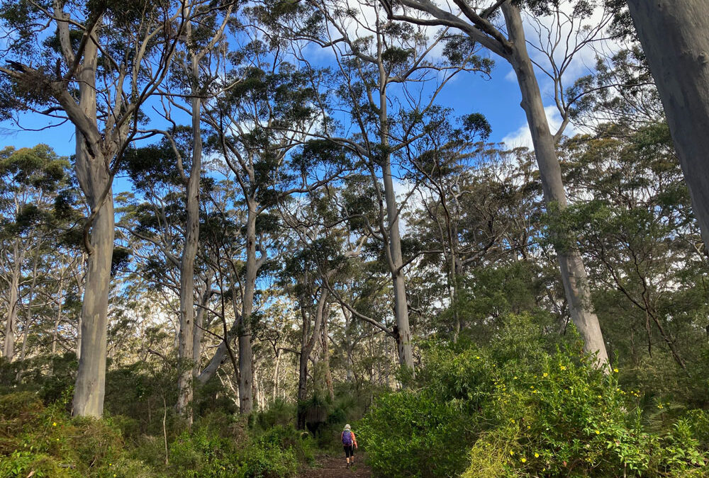 Hiking for health