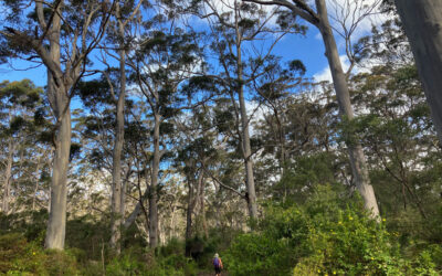 Hiking for health